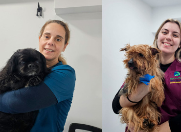 Sorrisos Saudáveis: A Importância da Higiene Oral no Seu Animal