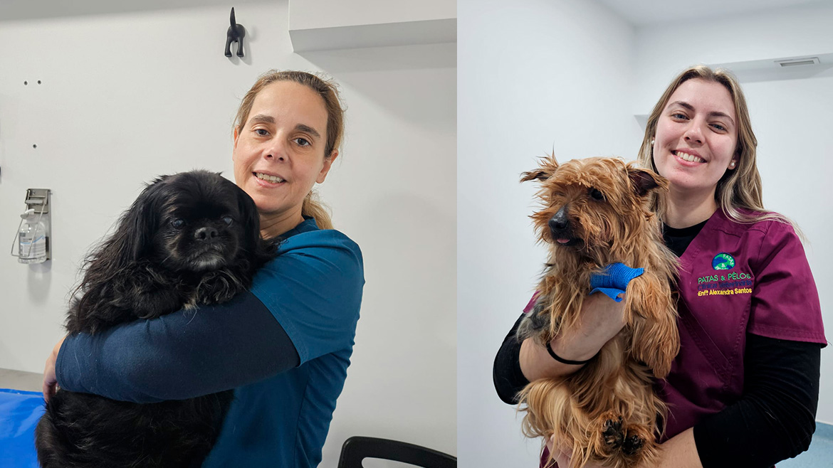 Sorrisos Saudáveis: A Importância da Higiene Oral no Seu Animal